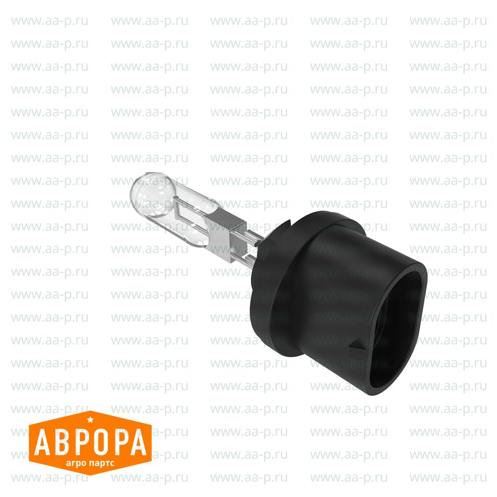 Glühlampe